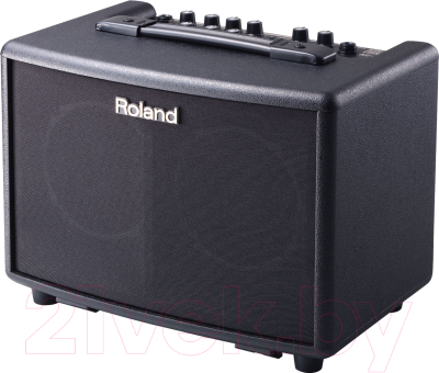 Комбоусилитель Roland AC-33