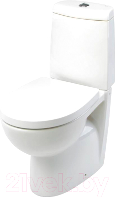 Унитаз напольный Roca Victoria Nord 7342ND7000 + 7341ND0000 + ZRU9000023 - фото