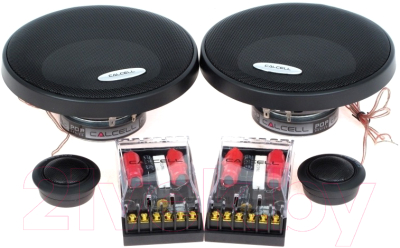 Компонентная АС Calcell CP-625C - фото