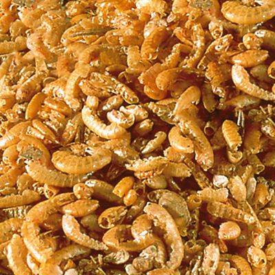 Корм для рептилий Sera Rafty I 01740