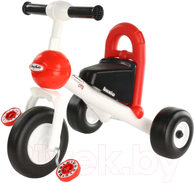 Трехколесный велосипед Полесье  Базик / 46208 - фото