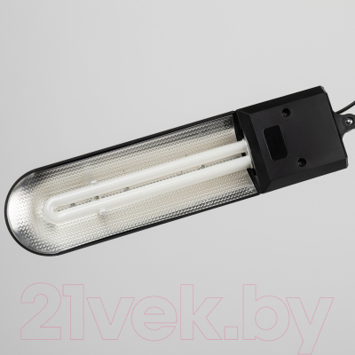 Настольная лампа ЭРА NL-202-G23-11W-BK