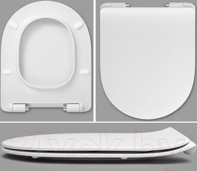 Сиденье для унитаза Roca Leon ZRU9302943