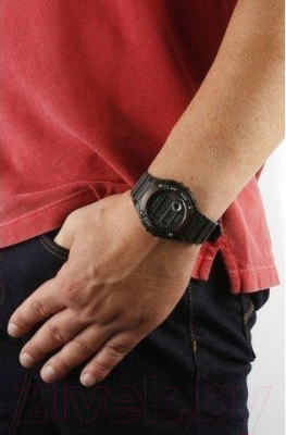 Часы наручные мужские Casio W-216H-1AVEF