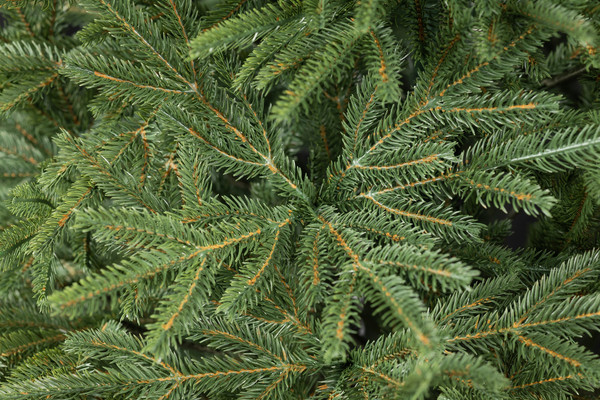 Ель искусственная Maxy Poland Рождественская литая