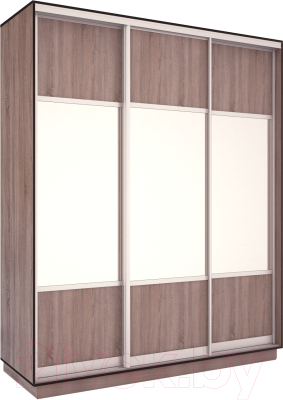 Шкаф-купе Евва 176TS.01 / АЭП ШК.3 03 (трюфель/серебро) - фото