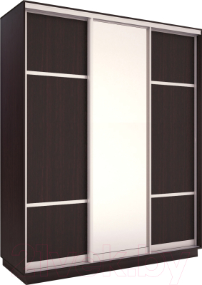 Шкаф-купе Евва 176 VS.02 / АЭП ШК.3 03 (венге/серебристый) - фото