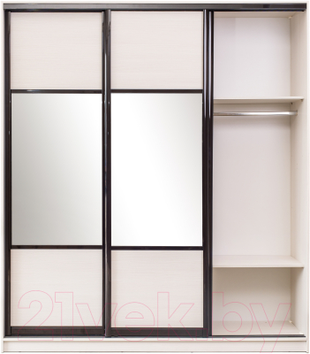 Шкаф-купе Евва 24 BBG.01 / АЭП ШК.3 01 (бодега/венге глянец)