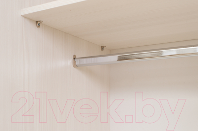 Шкаф-купе Евва 21 BBZ.04 / АЭП ШК.3 02 (бодега/жемчуг зерно)