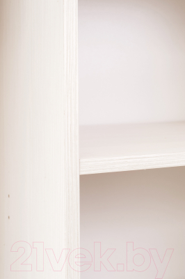 Шкаф-купе Евва 21 BBZ.04 / АЭП ШК.3 02 (бодега/жемчуг зерно)