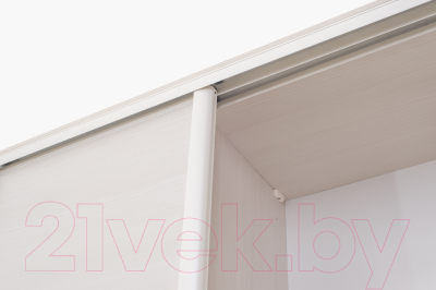 Шкаф-купе Евва 21 BBZ.04 / АЭП ШК.3 02 (бодега/жемчуг зерно)