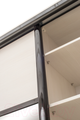 Шкаф Евва 18 BBG.01 / АЭП ШК.3 03