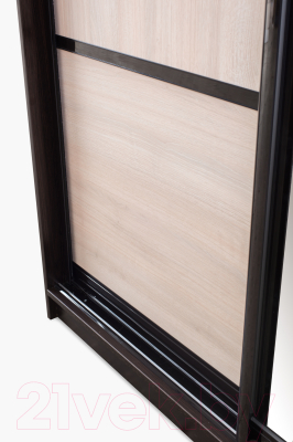 Шкаф Евва 124 VHG.02 / АЭП ШК.2 03