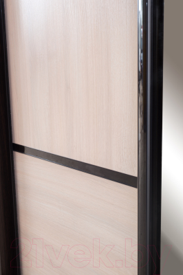 Шкаф Евва 124 VHG.02 / АЭП ШК.2 03