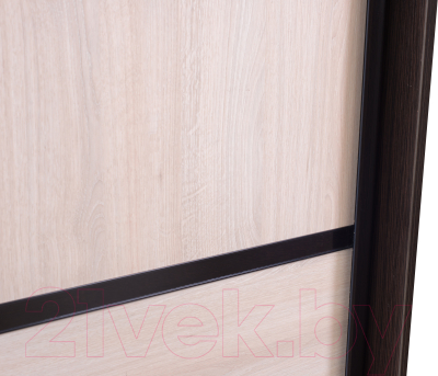Шкаф Евва 124 VHG.02 / АЭП ШК.2 03