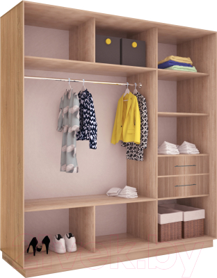 Шкаф-купе Евва 203 SS.02 / АЭП ШК.3 02 (сонома/серебро)