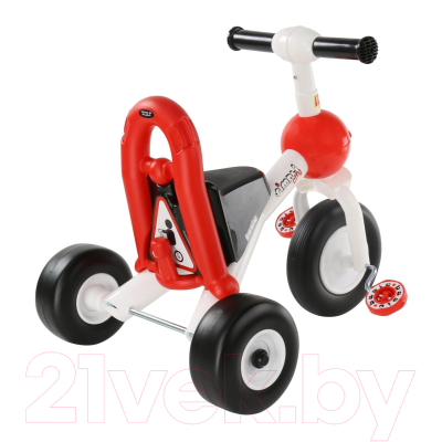 Трехколесный велосипед Полесье Базик / 66695