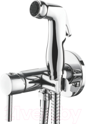 Гигиенический душ Ledeme L5398-2 - фото