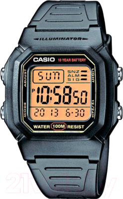 Часы наручные мужские Casio W-800HG-9AVES - фото