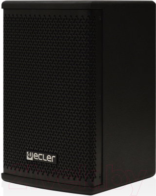 Сценический монитор Ecler Arqis 105