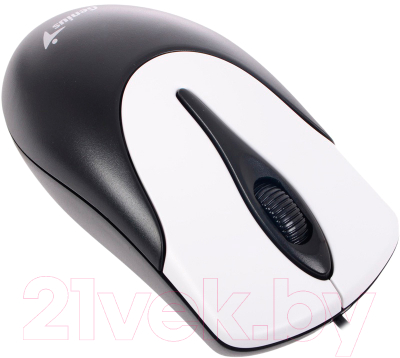 Мышь Genius NetScroll 100 v2