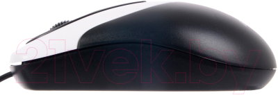 Мышь Genius NetScroll 100 v2