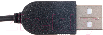 Мышь Genius NetScroll 100 v2