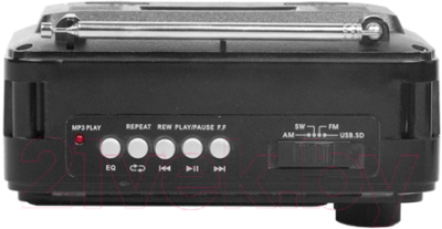 Радиоприемник Ritmix RPR-171