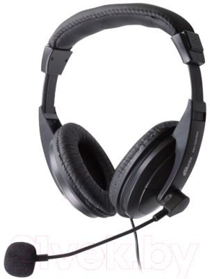 Наушники-гарнитура Ritmix RH-524M - фото