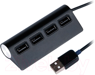 USB-хаб Ritmix CR-2400 - фото
