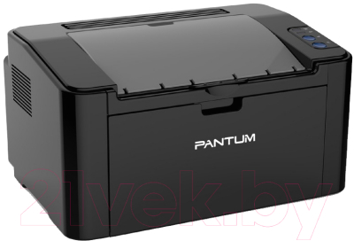 Принтер Pantum P2500W