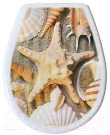 Сиденье для унитаза Bisk Lilia Foto 80379 (ракушка) - фото