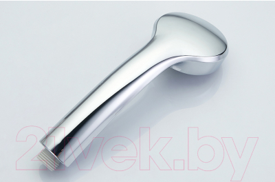 Лейка ручного душа Ledeme L09