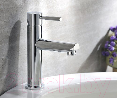 Смеситель Wasserkraft Main 4104