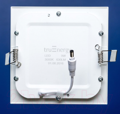 Точечный светильник Truenergy 24W 4000K 10078