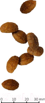 Сухой корм для собак Farmina Vet Life Hepatic