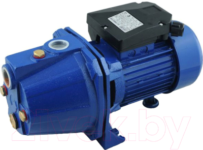 Поверхностный насос Jemix JET-100 - фото