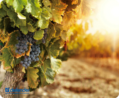 Коврик для мыши Defender Silk Pad Nature / 50707