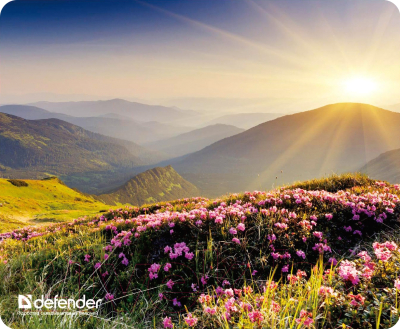 Коврик для мыши Defender Silk Pad Nature / 50707