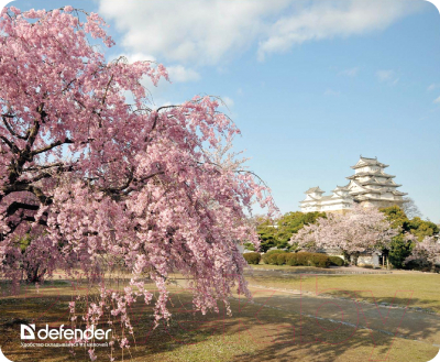 Коврик для мыши Defender Silk Pad Nature / 50707