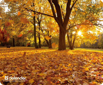 Коврик для мыши Defender Silk Pad Nature / 50707