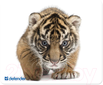 Коврик для мыши Defender Silk / 50706