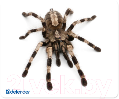 Коврик для мыши Defender Silk / 50706