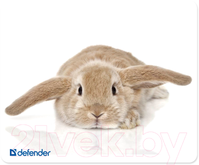 Коврик для мыши Defender Silk / 50706