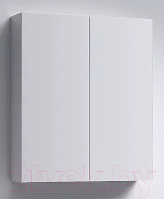 Шкаф с зеркалом для ванной Aqwella МС 60 / МС.04.06