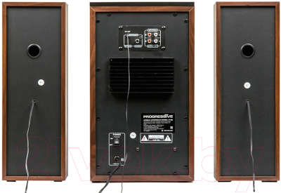 Мультимедиа акустика Dialog Progressive AP-250