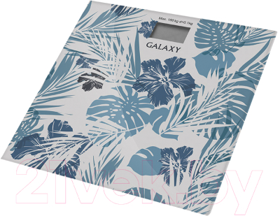 Напольные весы электронные Galaxy GL 4801 - фото