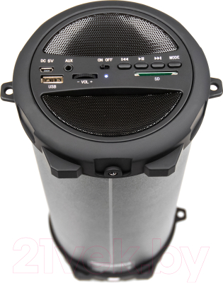 Портативная колонка Dialog Progressive AP-920