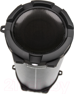 Портативная колонка Dialog Progressive AP-920