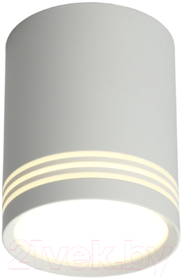 Потолочный светильник Omnilux Fortezza OML-100109-12 - фото